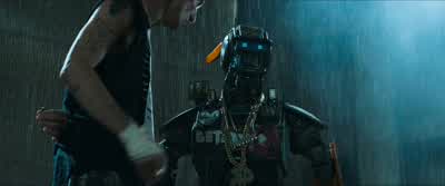 Now which dog do you wanna be ChappieThat dogor that dog - Chappie