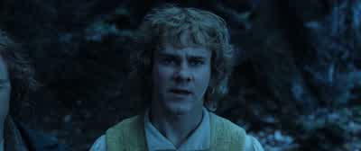 Now, don't be hasty, Master Meriadoc. - The Lord of the Rings: The Two Towers