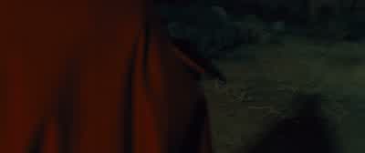 Now don't get madWhat the hell did you doI set the car on fireHow the hell are we supposed to get homeWe're in the middle of the fucking desert BillyYeah that's the least of our worriesWhat else did you doI'll give you a clueCome on inSo yeah I just - Seven Psychopaths