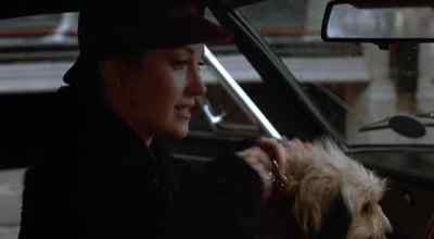 Now, you embarrass me
one more time... - Oh Heavenly Dog