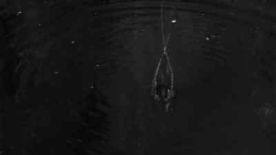 Now everybody up to
the celebration. - Until They Sail
