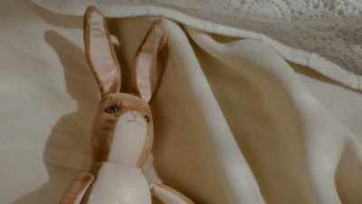 Now, everything that was near William when
he was contagious will have to be burned. - The Velveteen Rabbit
