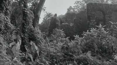 Now, far away from
our sorrows and feasts. - The Field Guide to Evil