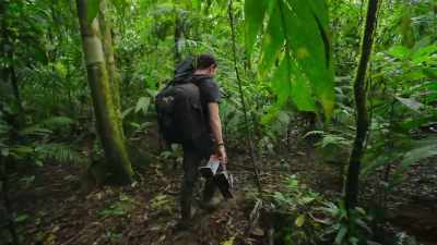 Now, filming can begin. - The Secret Lives of Animals