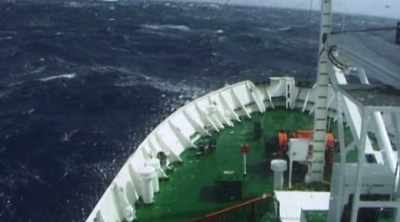 Now finally, there is proof. - Mysteries of the Deep
