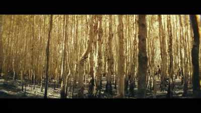 Now, follow me, - Kong: Skull Island