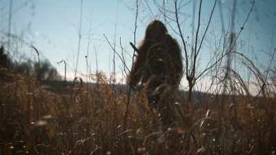 Now, from my studies, the
hominid or human family - Secrets of the Sasquatch