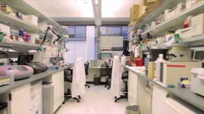 Now gene-editing technology
is allowing us - Human: The World Within