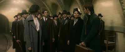 Now, get that case out of New York. - Fantastic Beasts and Where to Find Them