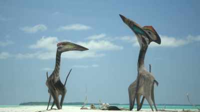 Now, she gives him a little encouragement. - Prehistoric Planet