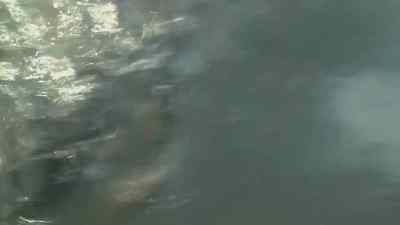Now we got action, cuz. - Swamp People