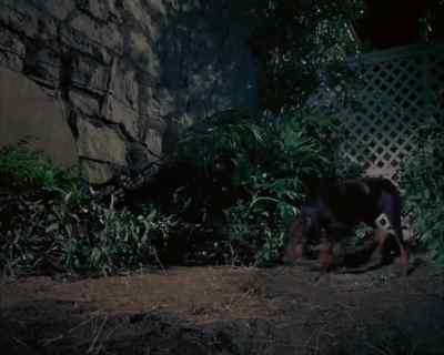 Now we have protection
in case the giant shows up. - Land of the Giants