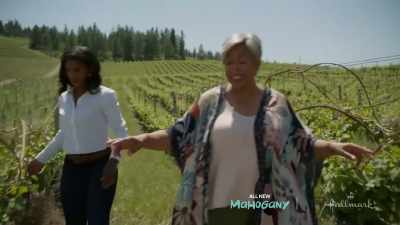 Now, we have to prune these, - Napa Ever After