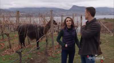 Now, we have this - Valentine in the Vineyard