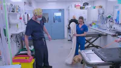 Now, we have to turn the lights down
a bit - 24/7 Pet Hospital