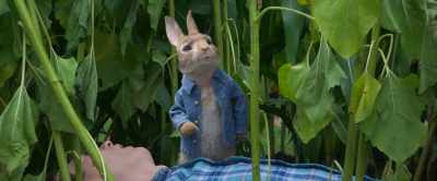 Now, if history is any
indication, - Peter Rabbit