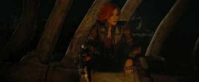 Now, I bet you're wondering, - Borderlands