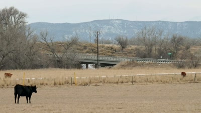 Now, when I came out here
thinking that we were gonna - Beyond Skinwalker Ranch