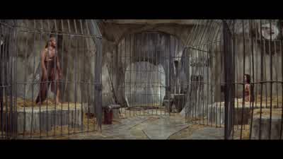 Now I don't even have you. - Planet of the Apes