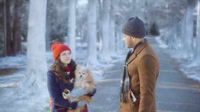 Now I just need a home
for five kittens, - The Dog Days of Christmas