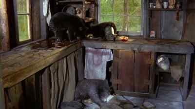 NOW I NEVER DREAMED
THAT A BEAR CUB'S APPETITE - The Bears and I