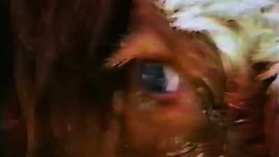 Now, I never saw nothing
like this in my life. - The Devil We Know