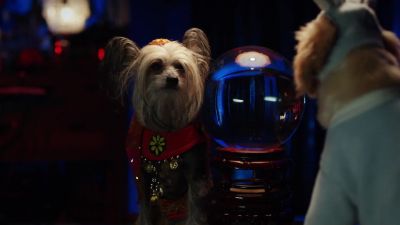 Now I sense you puppies are in danger - Spooky Buddies