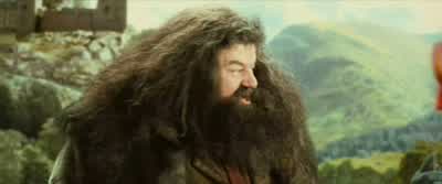 Now I want a nice clean game from all of you - Harry Potter and the Sorcerer's Stone