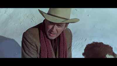 Now, I want you to tell Bowen. - The Rare Breed