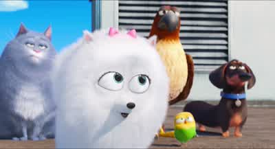 Now if we take the human routegetting there is gonna take daysYou may have lots of timebut for me every breath is a cliffhanger - The Secret Life of Pets