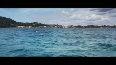 Now I'll tell you, at Noosa, - Envoy: Shark Cull