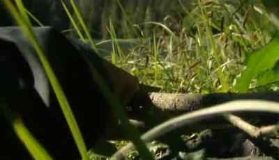 NOW I'M GOING TO USE MY MAGGOTS - Man vs. Wild