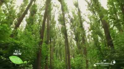 Now, I'm guessing - Nature of Love