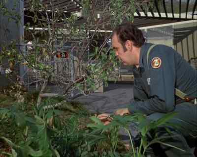 Now, I'm not a patient man. - Land of the Giants