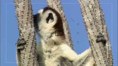 Now, I'm ready to grant
your greatest wishes! - When Nature Calls with Helen Mirren