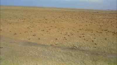 Now in late may, drought approaches
imposing a deadly ultimatum... - Africa: The Serengeti