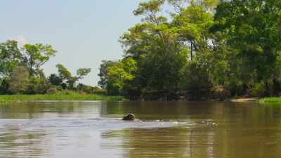 Now, in the dry season, - Our Planet