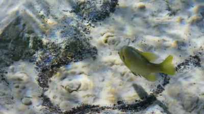 Now, in winter, - Seven Worlds, One Planet