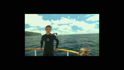Now this is
the mecca of diving... - Sharkwater Extinction
