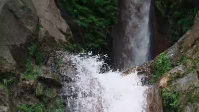 Now, it is certain that
every living thing here on Earth - Universe