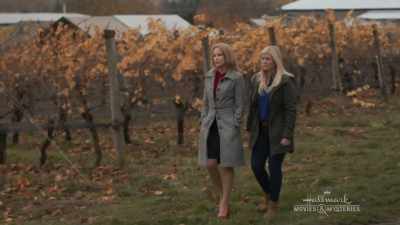 Now it's all large-scale
vineyards, - Chronicle Mysteries: Vines that Bind