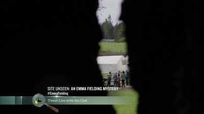 Now that it's complete exposed, - Site Unseen: An Emma Fielding Mystery