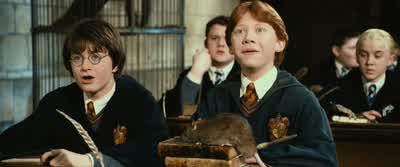 Now it's your turn. - Harry Potter and the Chamber of Secrets