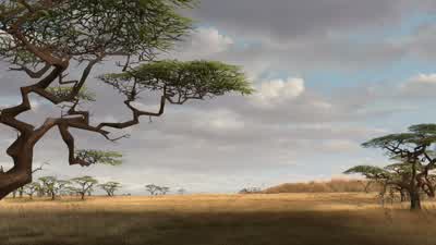 Now just a little brake. - Madagascar: Escape 2 Africa