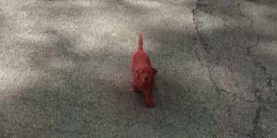 Now, just because you're lost, - Clifford the Big Red Dog