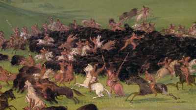 Now they killed even more - The American Buffalo