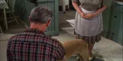 NOW, LADDIE,
HOLD STILL. - The Incredible Journey