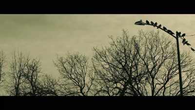 Now, later in 2011,
Mrs. Marino came to me - John Wayne Gacy: Devil in Disguise