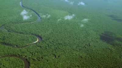 Now, let's take a lazy log ride
down the Amazon River, - Absurd Planet