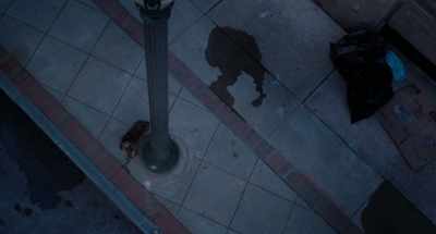 Now, let's talk
rule number two: - Strays